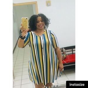 Plus Striped Trapeze Dress
